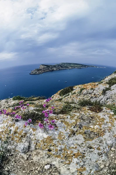 Vista de la isla de Cretaccio — Foto de Stock