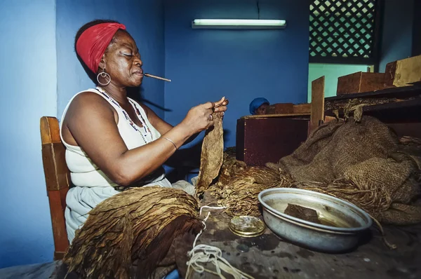 Mujer trabajando en fábrica de puros — Foto de Stock