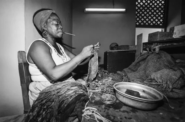 Mujer trabajando en fábrica de puros — Foto de Stock