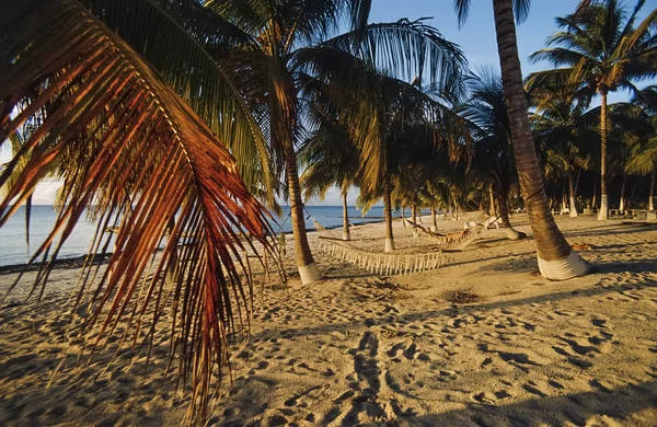 Spiaggia di Maria La Gorda — Foto Stock