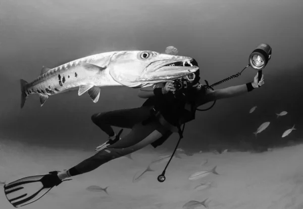 Duiker nemen van foto's van vis — Stockfoto