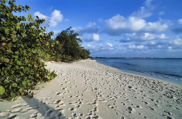 View of a beach — Stock Photo, Image