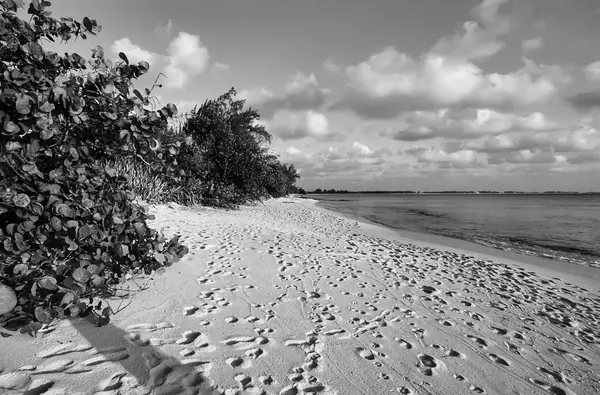 Вид на пляж — стоковое фото