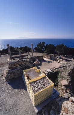 Roma saray kalıntıları