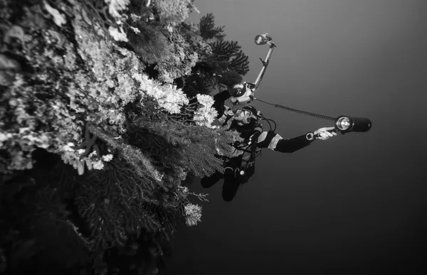 Onderwater fotograaf en rode Gorgonen — Stockfoto