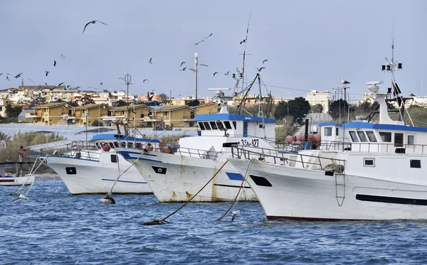 Wooden fishing boats and seagulls in the port — Stock Photo, Image