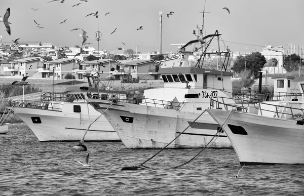 Wooden fishing boats and seagulls in the port — Stock Photo, Image