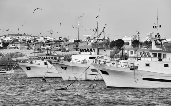 Barche da pesca in legno e gabbiani nel porto — Foto Stock