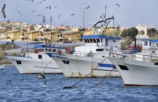 Wooden fishing boats and seagulls in the port — Stock Photo, Image