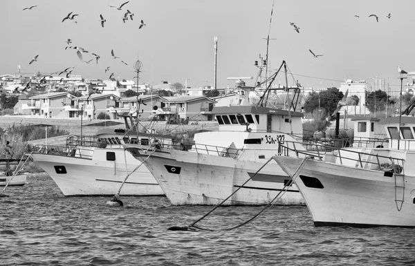 Barcos de pesca de madeira e gaivotas no porto — Fotografia de Stock