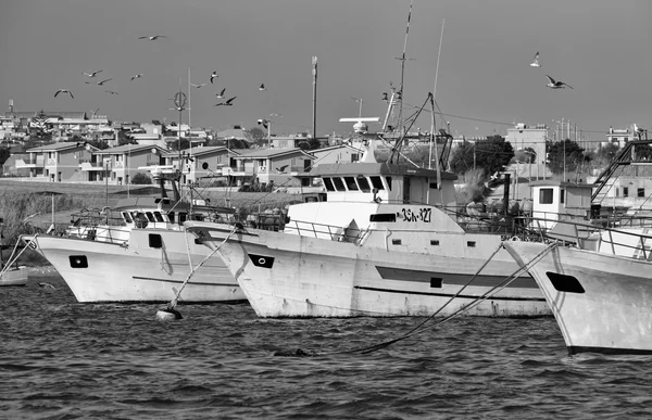 Houten vissersboten en meeuwen in de haven — Stockfoto