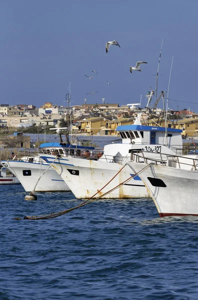 Barche da pesca in legno e gabbiani nel porto — Foto Stock