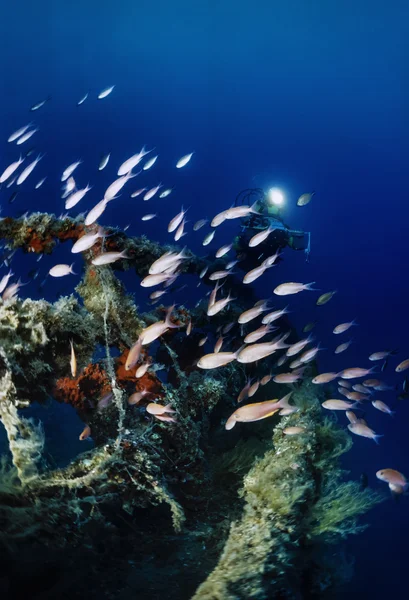 Sunken ship wreck — Stock Photo, Image