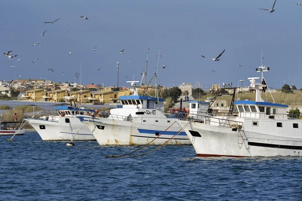 Barche da pesca in legno e gabbiani nel porto — Foto Stock