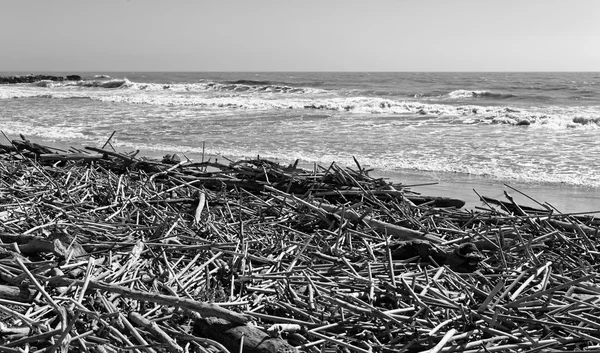 Boles e bastoni trasportati sulla spiaggia — Foto Stock
