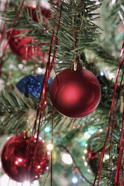 Árvore Natal — Fotografia de Stock