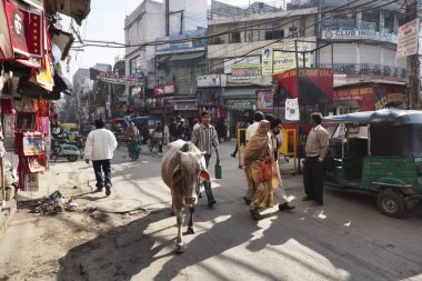 indian people and a cow at the Uttar Pradesh market clipart