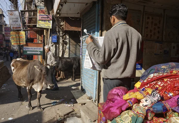 Peuple indien et une vache au marché de l'Uttar Pradesh — Photo