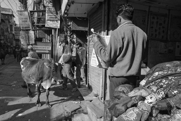 Povo indiano e uma vaca no mercado de Uttar Pradesh — Fotografia de Stock