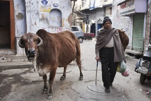 Povo indiano e uma vaca no mercado de Uttar Pradesh — Fotografia de Stock