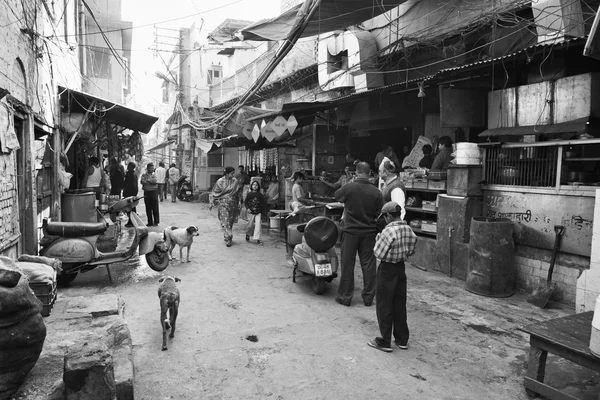 Gente india y perros en el mercado Uttar Pradesh —  Fotos de Stock