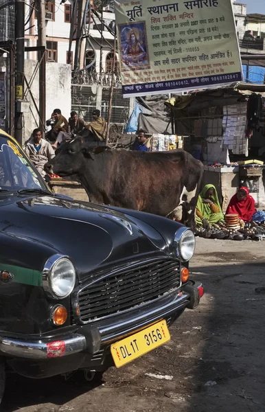 Indische mensen en een koe op de markt van Uttar Pradesh — Stockfoto