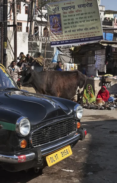 Indische mensen en een koe op de markt van Uttar Pradesh — Stockfoto
