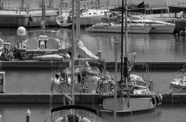 Tahta masadaki İtalyan domatesleri