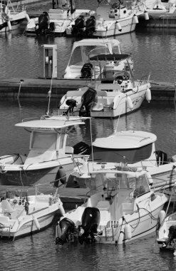 Tahta masadaki İtalyan domatesleri