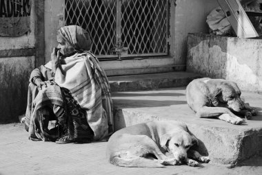 Hintli kadın ve köpek Uttar Pradesh Market
