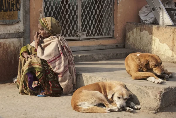 Mujer india y perros en el mercado Uttar Pradesh — Foto de Stock