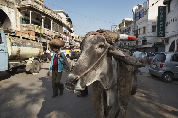 Povo indiano e uma vaca no mercado de Uttar Pradesh — Fotografia de Stock