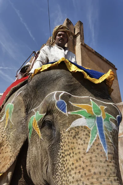 Indian elephant at the Amber Fort — Stock Photo, Image