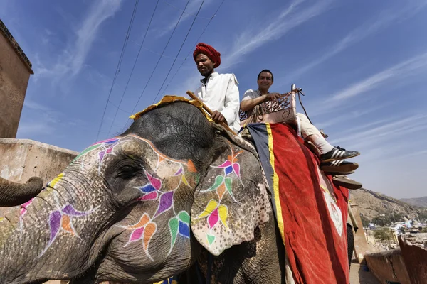 Indyjski słoń w Amber Fort — Zdjęcie stockowe