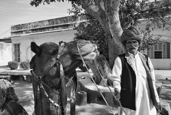 印度男子带着他的骆驼在琥珀宫 — 图库照片