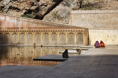 Hintli kadın ve maymunlar Galta Hindu tapınakları