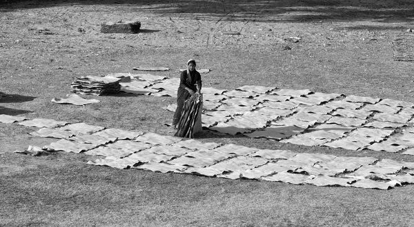 Indian people drying leather in a field — Stock Photo, Image