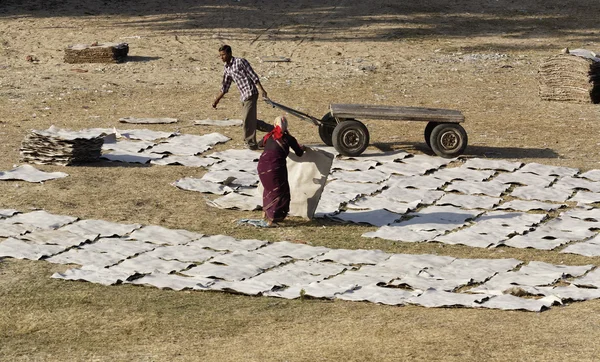 Indian people drying leather in a field — Stock Photo, Image
