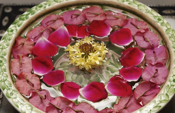 Rose petals in a bowl full of water — Stock Photo, Image