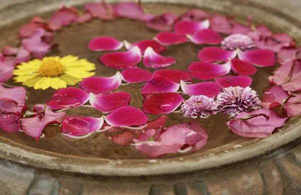 Roze bloemblaadjes in een kom met water — Stockfoto