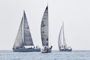 sailboats race in Mediterranean Sea clipart