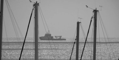 İtalya, Sicilya, Akdeniz, Marina di Ragusa (Ragusa Eyaleti); 23 Ekim 2025; limanda yelkenli gemi direkleri ve arka planda bir römorkör teknesi - EDITORIAL