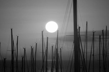 İtalya, Sicilya, Akdeniz, Marina di Ragusa (Ragusa Eyaleti); limanda yelkenli gemi direkleri 