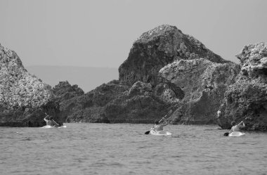 Malta Adası, Gnejna Körfezi 'nde kayak yapan insanlar.
