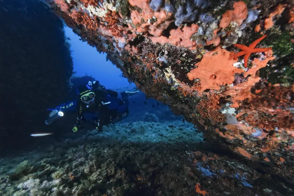 SPAIN, Mediterranean Sea, Ibiza Island, U.W. photo; 13 June 2006, scuba diver and Sponges (FILM SCAN) - EDITORIAL — Stock Photo, Image