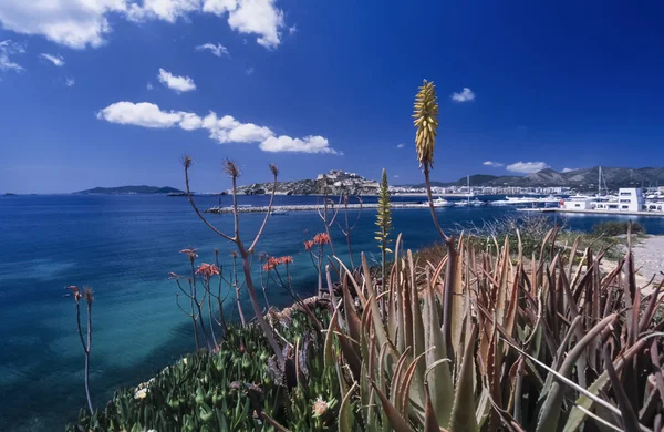 Spanien, Insel Ibiza, Blick auf die Insel - Filmscan — Stockfoto