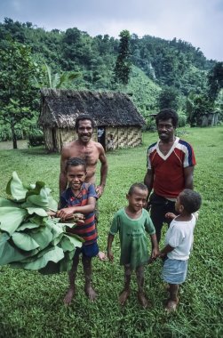 Fiji Adaları, Viti Levu Isl.; 22 Ocak 2002, kırsal kesimde (Film tarama) - editoryal küçük bir köyde Fiji insanlar