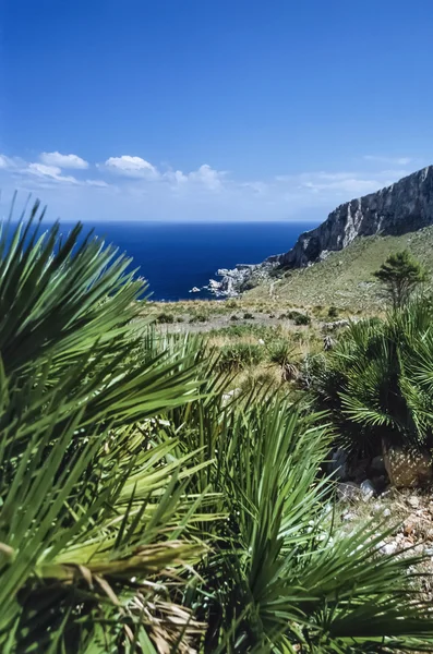 Italy, Sicily, Tyrrhenian Sea, view of the sicilian rocky coastline near San Vito Lo Capo (Trapani Province) - FILM SCAN — Stock Photo, Image