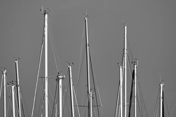 Italy, Siciliy, Mediterranean sea, Marina di Ragusa, sailing boat masts in the marina — Stock Photo, Image