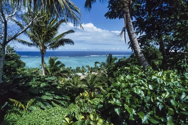 Fidżi, Wyspy Viti Levu, widok na tropikalną roślinnością i rafa koralowa na Oceanie Spokojnym - Film skanowania — Zdjęcie stockowe